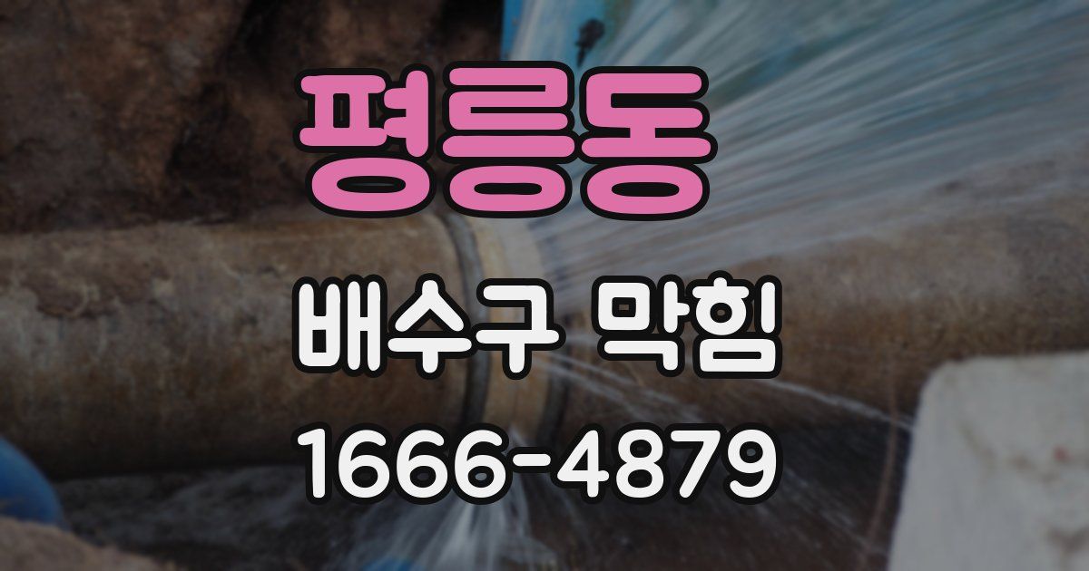 평릉동 배수구 막힘