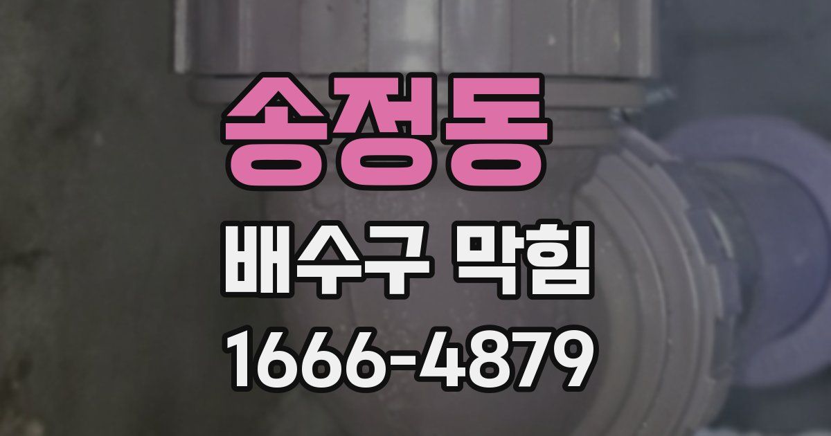 송정동 배수구 막힘