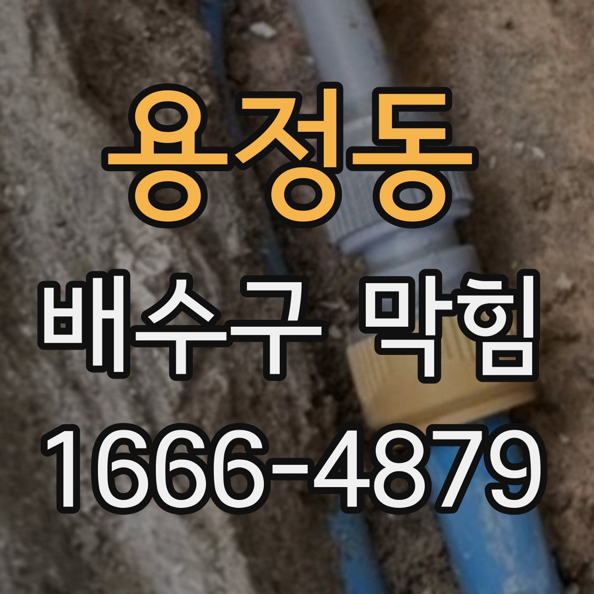 용정동 배수구 막힘