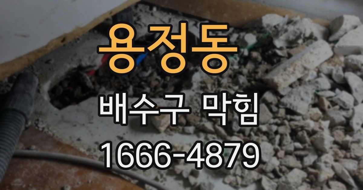 용정동 배수구 막힘