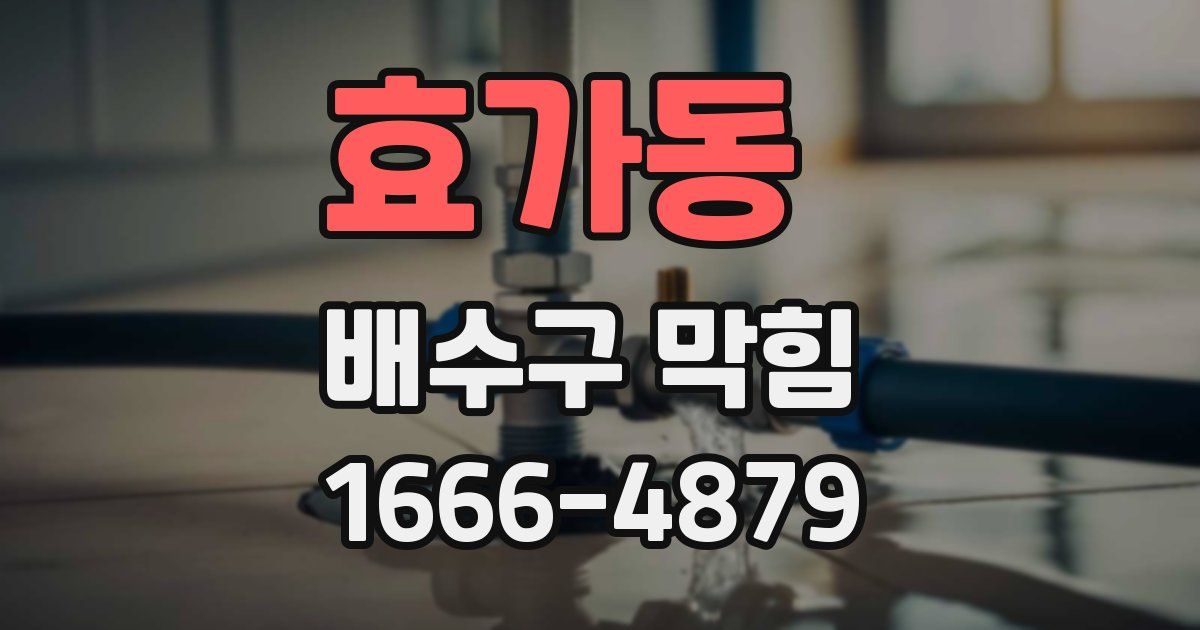 효가동 배수구 막힘