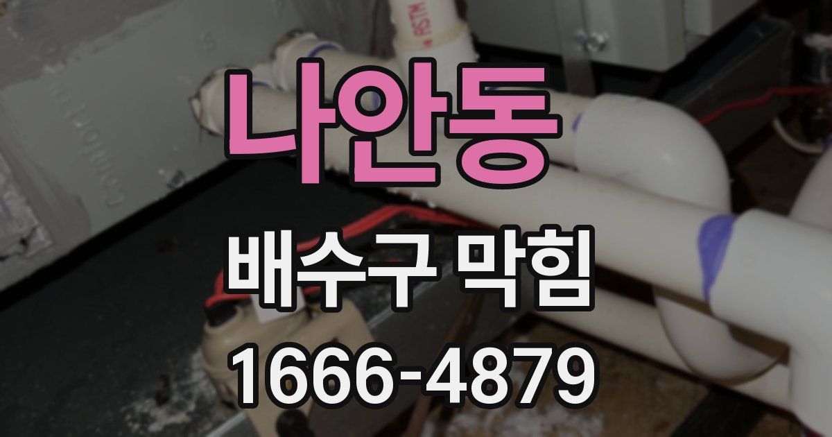 나안동 배수구 막힘