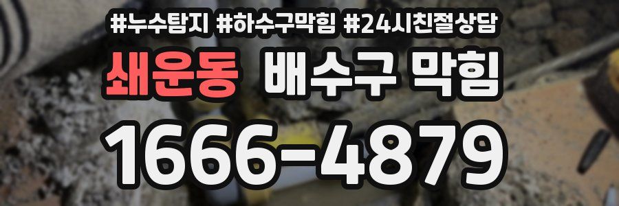 쇄운동 배수구 막힘