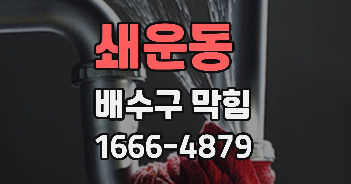 쇄운동 배수구 막힘