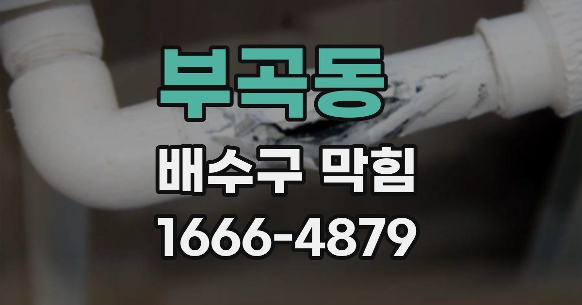 부곡동 배수구 막힘