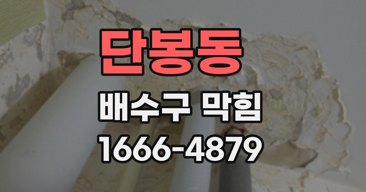 단봉동 배수구 막힘