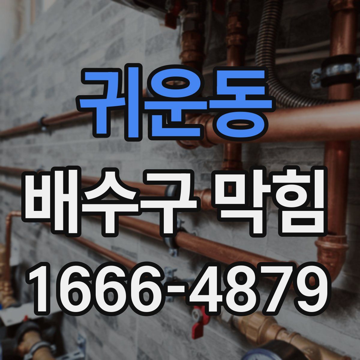 귀운동 배수구 막힘