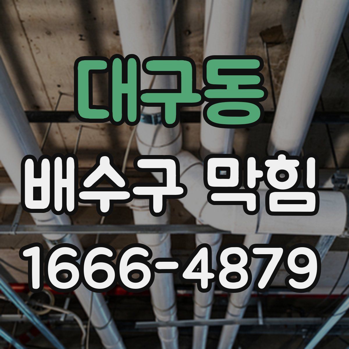 대구동 배수구 막힘