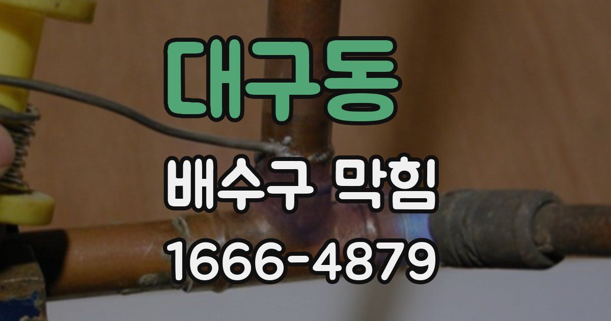 대구동 배수구 막힘
