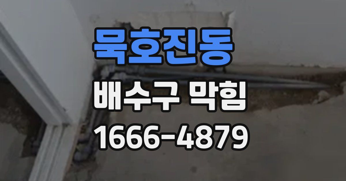 묵호진동 배수구 막힘