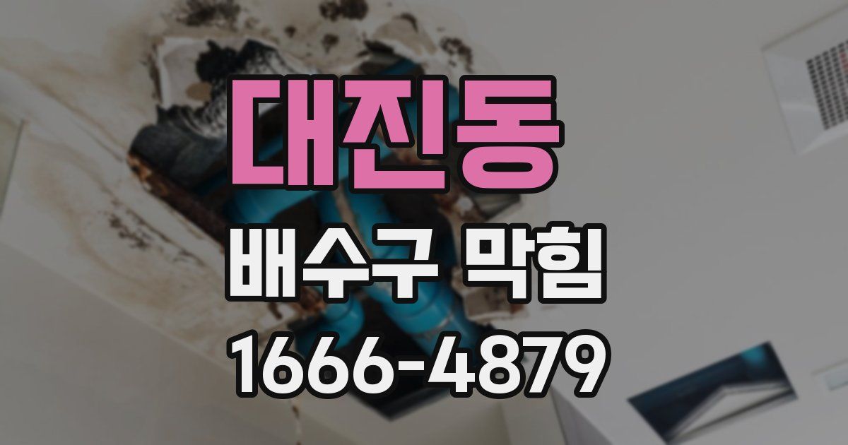 대진동 배수구 막힘