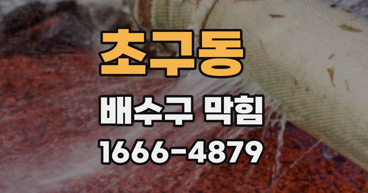 초구동 배수구 막힘