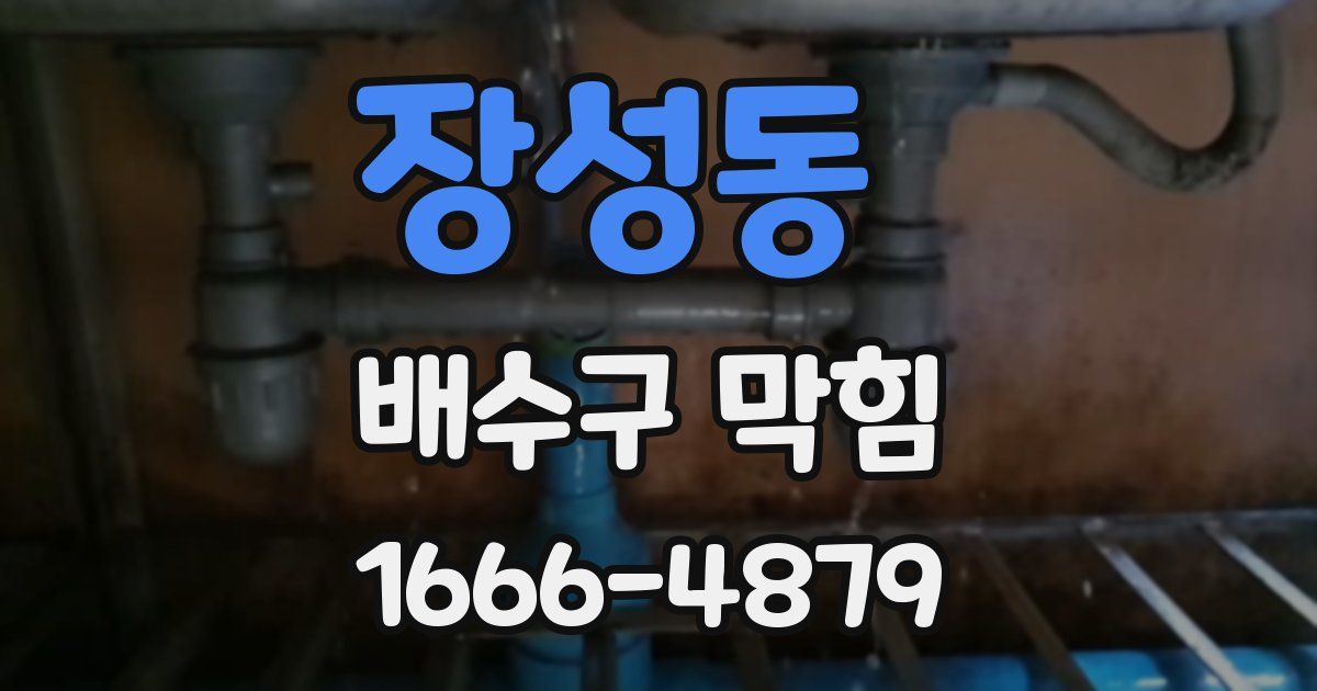 장성동 배수구 막힘