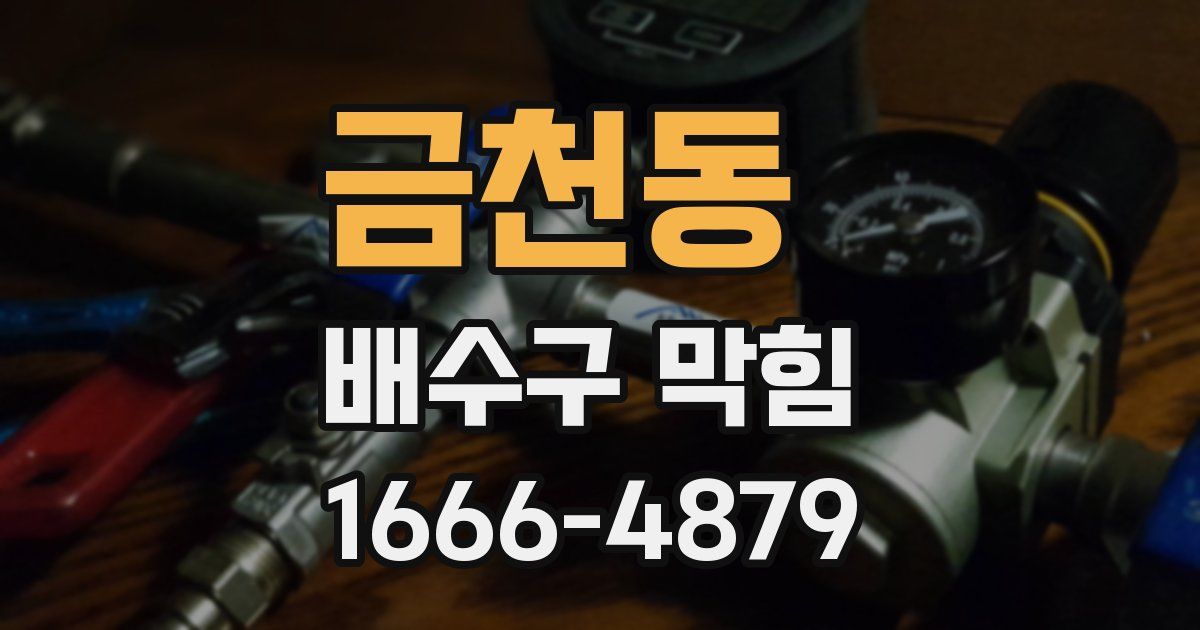 금천동 배수구 막힘
