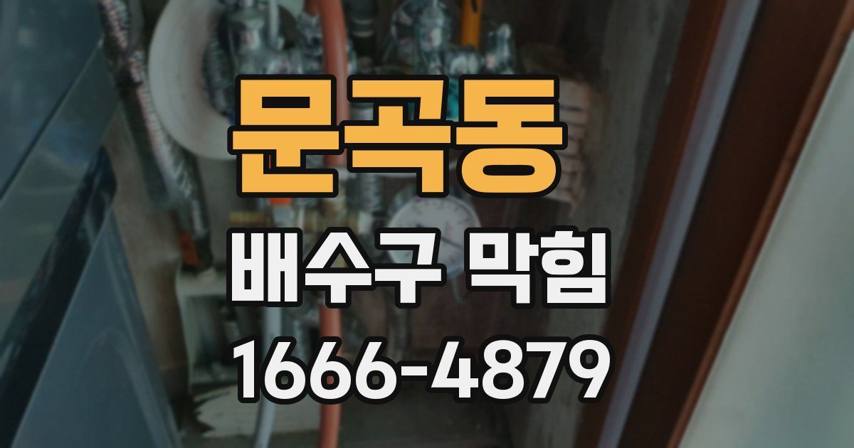 문곡동 배수구 막힘