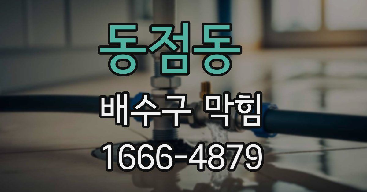 동점동 배수구 막힘
