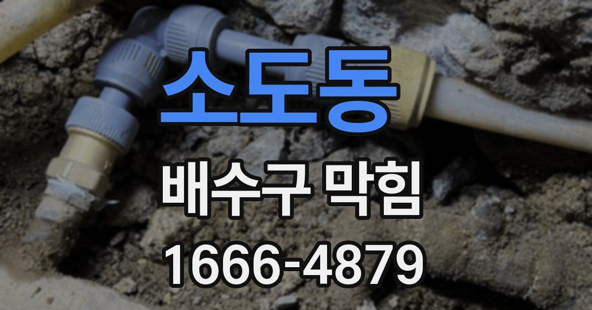 소도동 배수구 막힘
