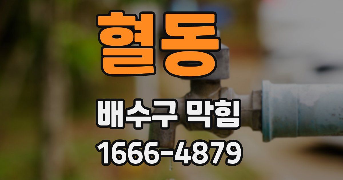 혈동 배수구 막힘