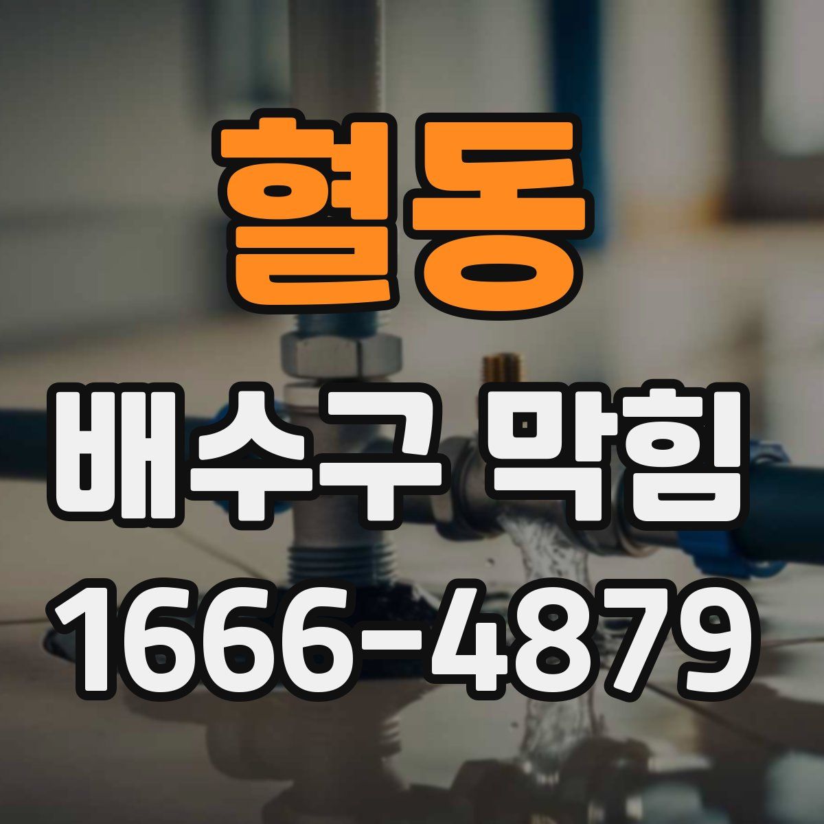 혈동 배수구 막힘