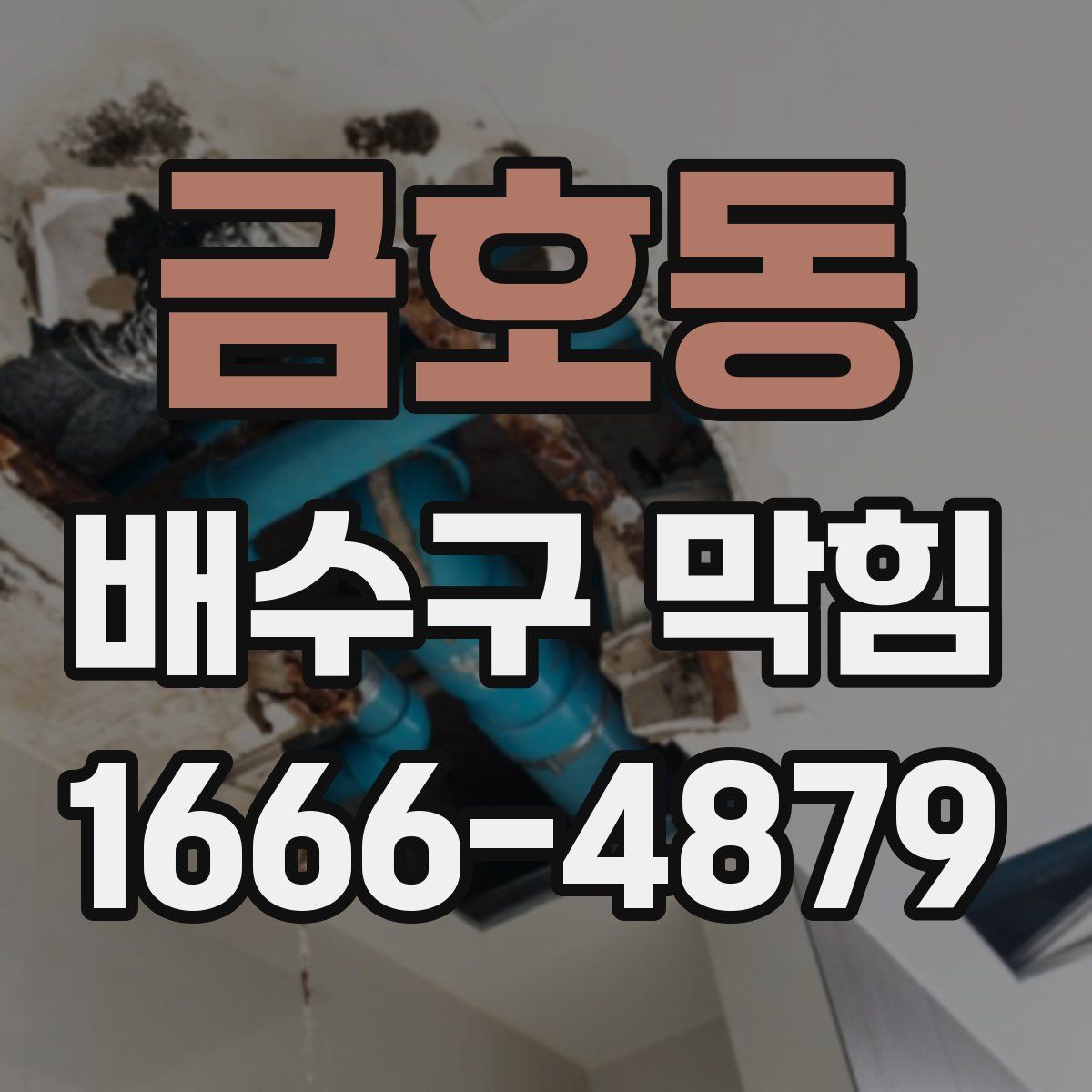 금호동 배수구 막힘