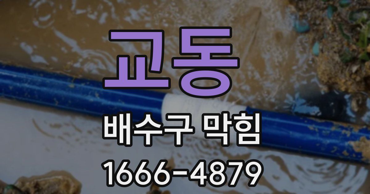 교동 배수구 막힘