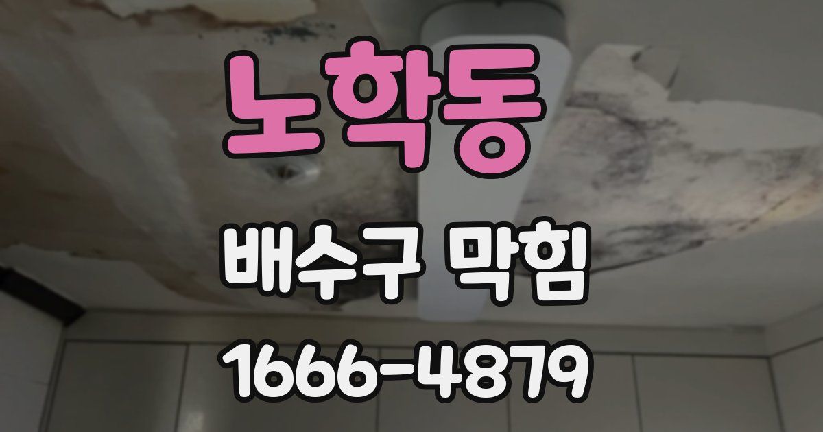 노학동 배수구 막힘