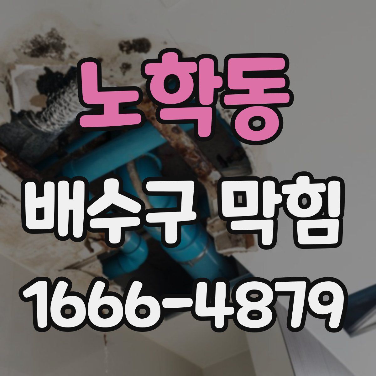 노학동 배수구 막힘