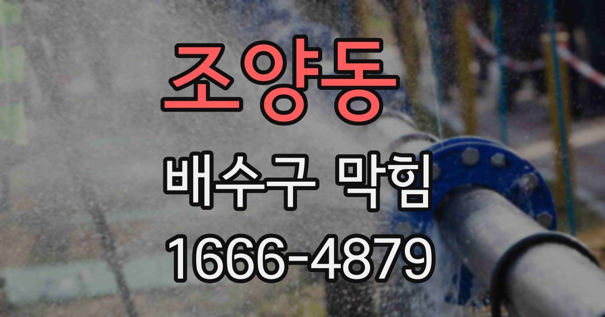 조양동 배수구 막힘