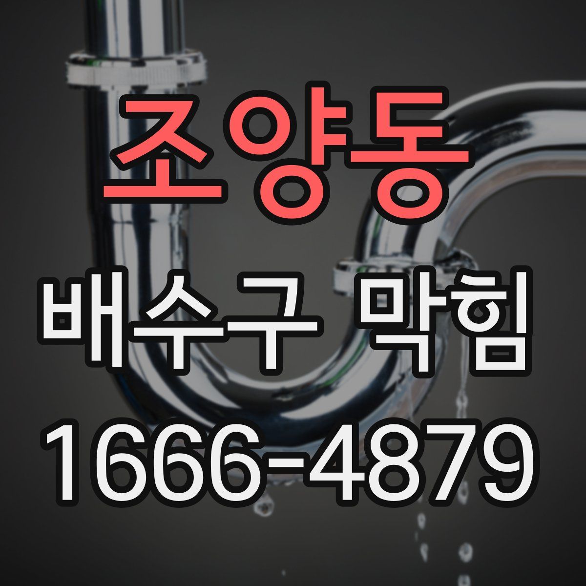 조양동 배수구 막힘