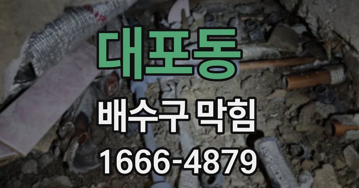대포동 배수구 막힘