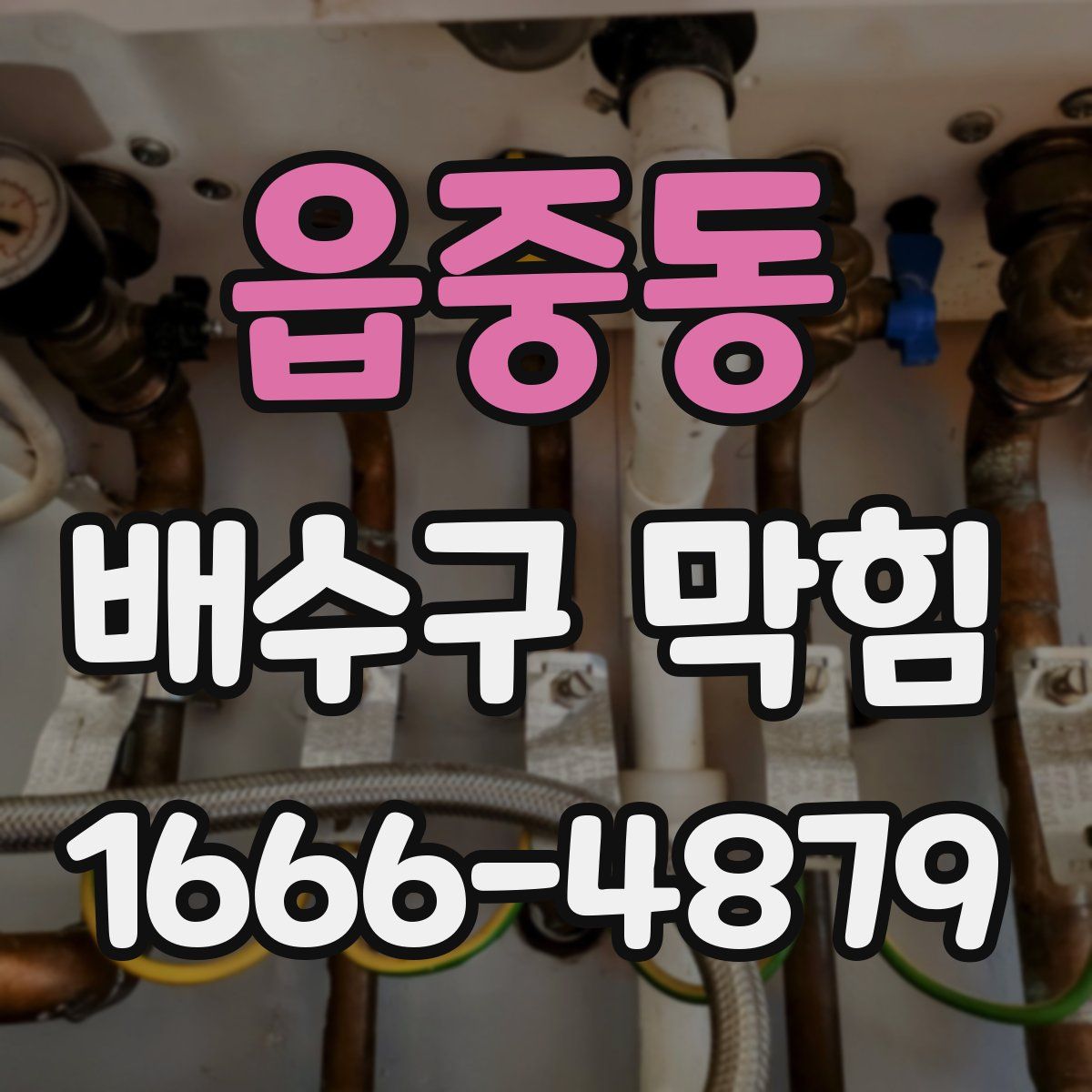 읍중동 배수구 막힘
