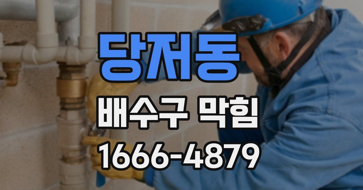 당저동 배수구 막힘