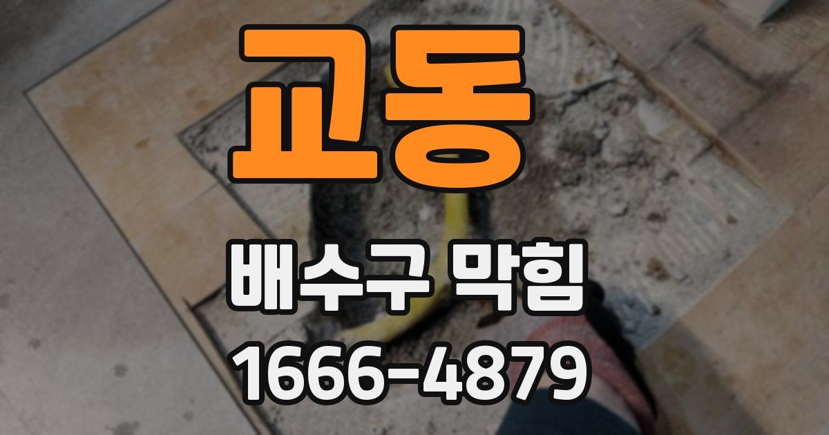교동 배수구 막힘