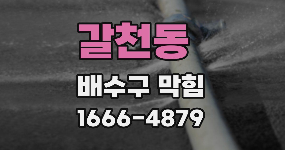 갈천동 배수구 막힘