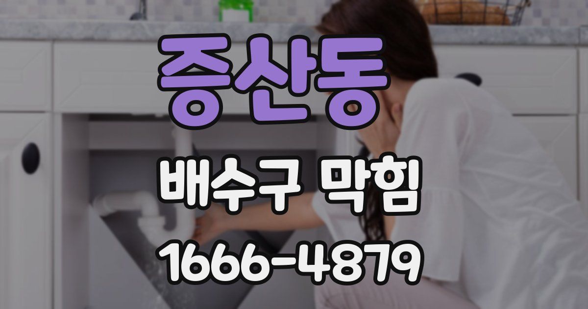 증산동 배수구 막힘