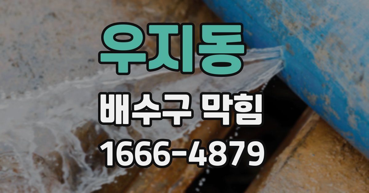 우지동 배수구 막힘
