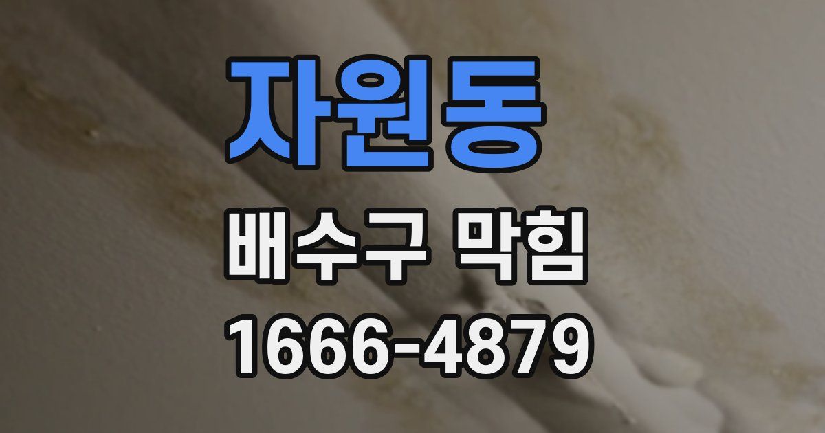 자원동 배수구 막힘