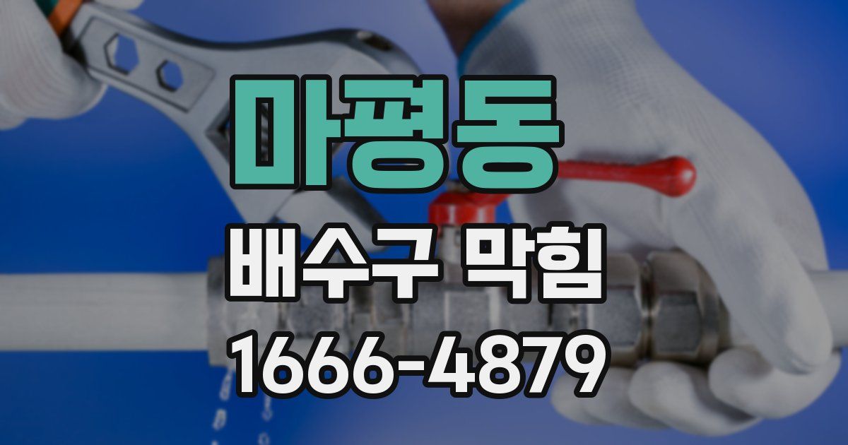 마평동 배수구 막힘