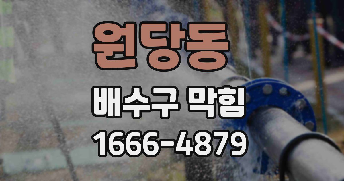 원당동 배수구 막힘