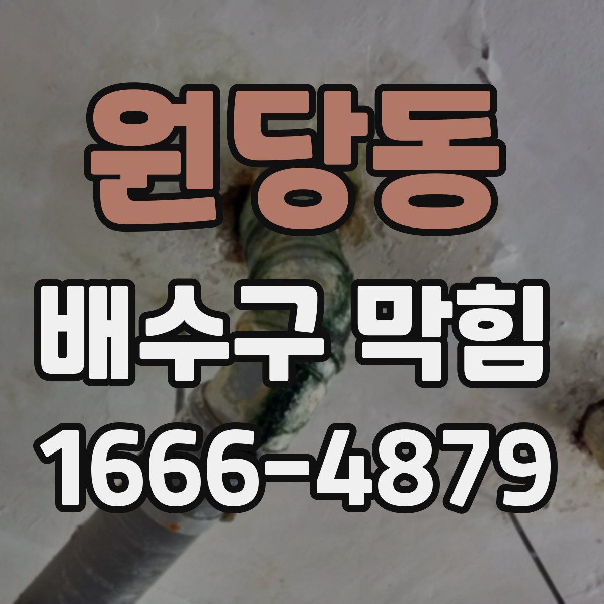 원당동 배수구 막힘