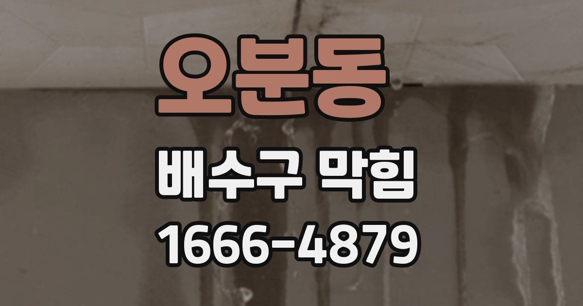오분동 배수구 막힘