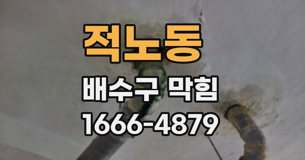 적노동 배수구 막힘