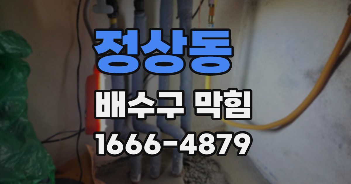 정상동 배수구 막힘