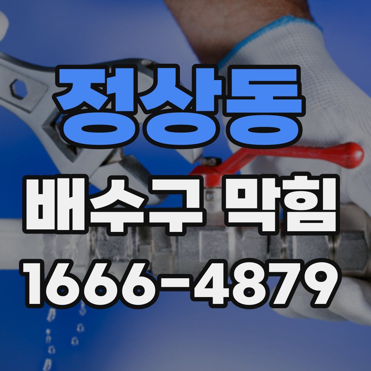 정상동 배수구 막힘