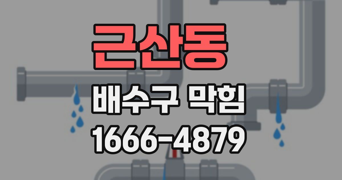 근산동 배수구 막힘