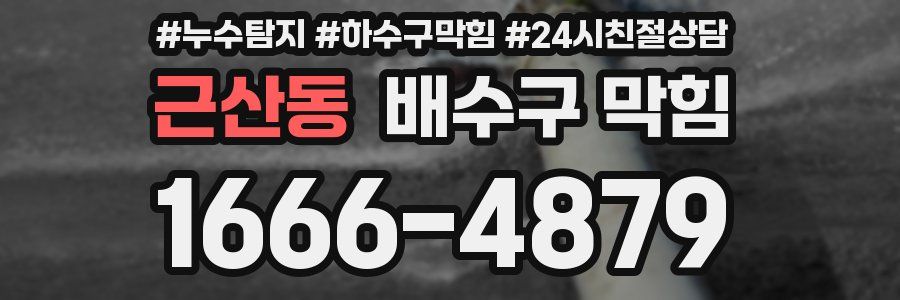 근산동 배수구 막힘