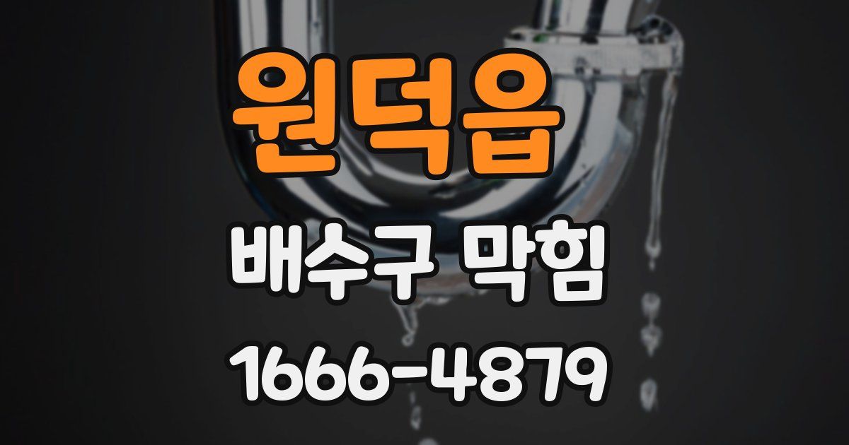 원덕읍 배수구 막힘