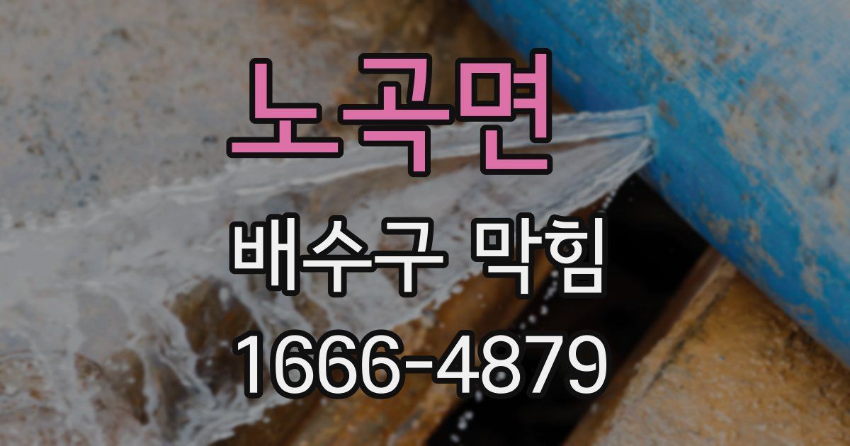 노곡면 배수구 막힘