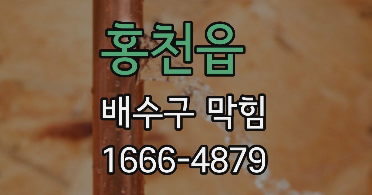 홍천읍 배수구 막힘