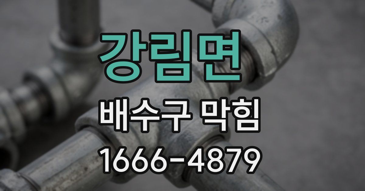 강림면 배수구 막힘